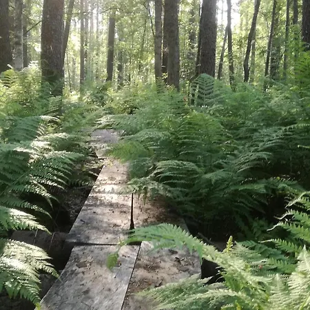 Raita By Interhome Casa de Férias *