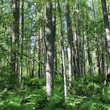 Raita By Interhome *