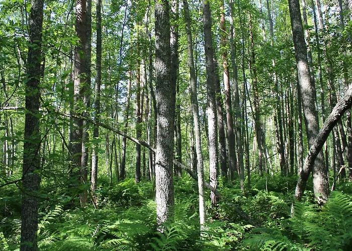 Сasa de vacaciones Raita By Interhome