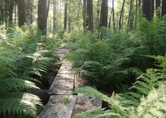 Hébergement de vacances Raita By Interhome Oravisalo